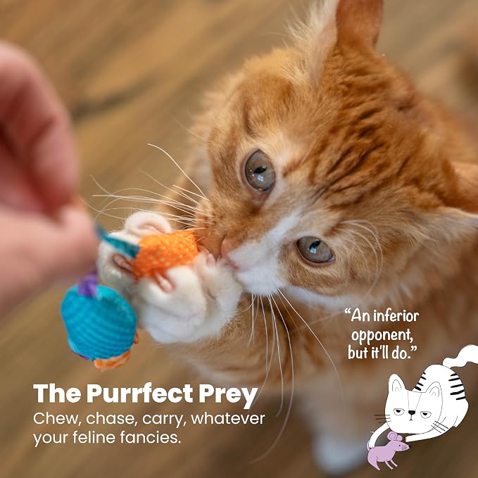 Catstages Catnip Chew Mice 2 Pack– Interactive Dental Cat Chew Toy that Helps Clean Teeth, Mouse, Multicolored - Image 6