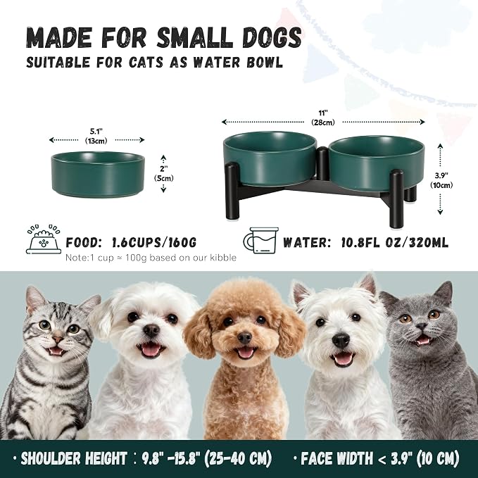 Raised Ceramic Dog Bowl Set with Stand, 1.6 Cups Elevated Dog Food Stand | 5.1'' Double Dog Food and Water Bowl Set, Non-Slip Dog Feeding Dishes for Small Breeds and Cats, 10.8 OZ, Green - Image 2