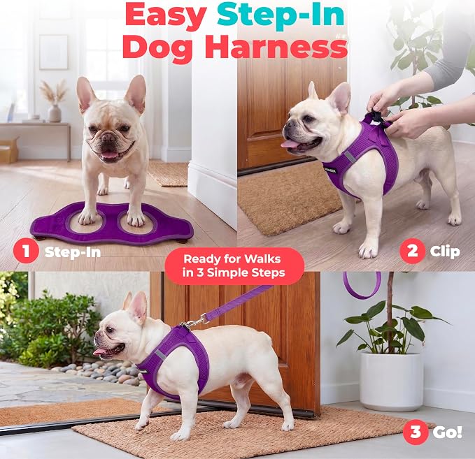 Best Pet Supplies Voyager Step-in Air Harness - All Weather Mesh, Reflective, No Pull Harness for Dogs, Cats - Secure with Hook & Loop Fastener, Buckle, Double D-Rings - Purple, XXS - Image 3