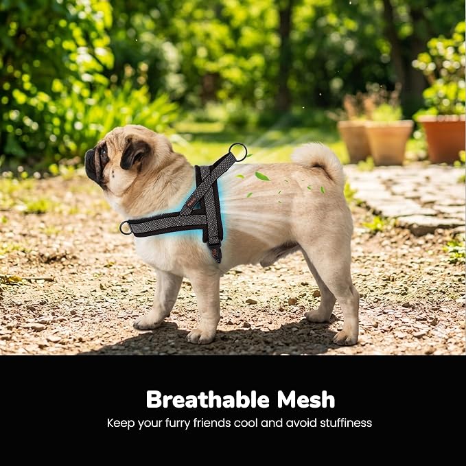 No Pull Dog Harness for Medium Dogs, Breathable Mesh Padded, Black,M | Quick Fit, Easy On and Off, Adjustable, Reflective Vest Harness for Night Safty, Easy for Walking and Training, Chest 21-26" - Image 2