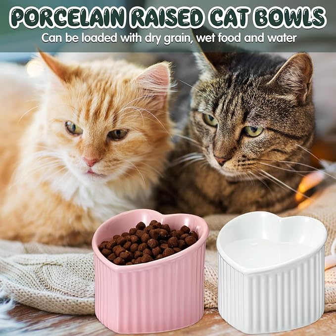 4 Pcs Elevated Cat Food Bowls, Ceramic Raised Cat Bowls, Shallow, Less Digestion Issues, Anti Vomiting, No Stress for Food and Water Indoor Kitten - Image 4