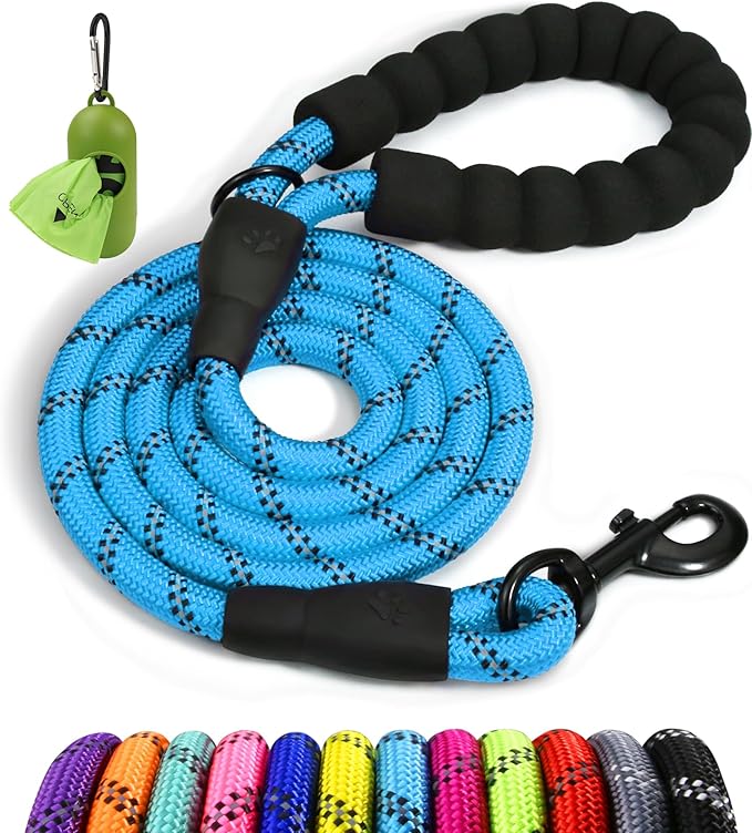 Taglory Rope Dog Leash for Medium Large Dogs, 5 FT Padded Handle, Blue | Climbing Rope for Strong Pullers, Reflective for Night Walks and Training, Comfortable Grip, Anti-tangle Swivel Clip 1/2 inch by Taglory