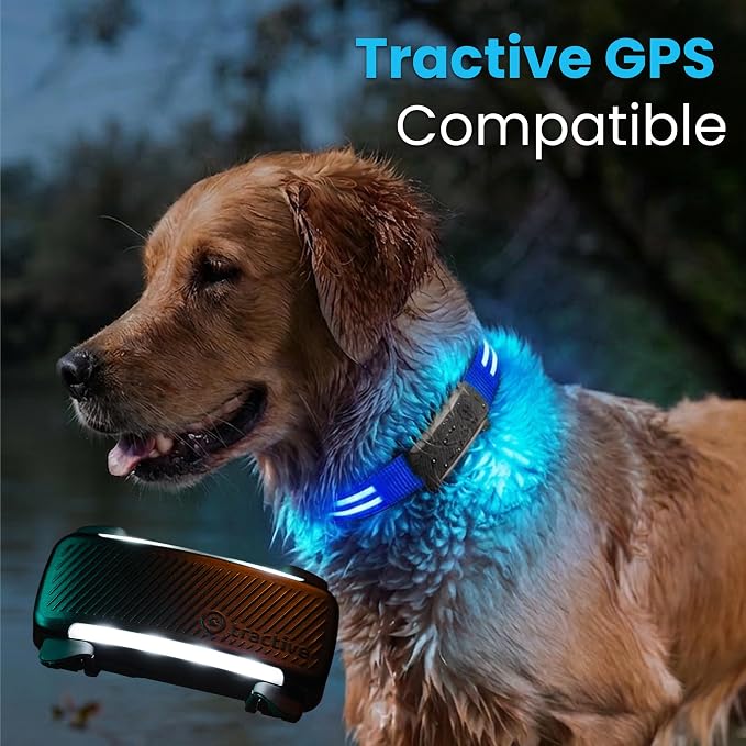 Tractive LED Light Up Dog Collar USB Rechargeable Waterproof (Blue) - Image 5