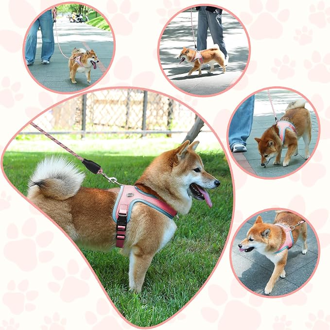 Dog Harness and Leash Set, No Pull Saddle Style Pet Harness, Breathable Mesh Adjustable Reflective Dog Vest for Medium Small Dogs Harness 2 D-Rings, Pink, M - Image 6
