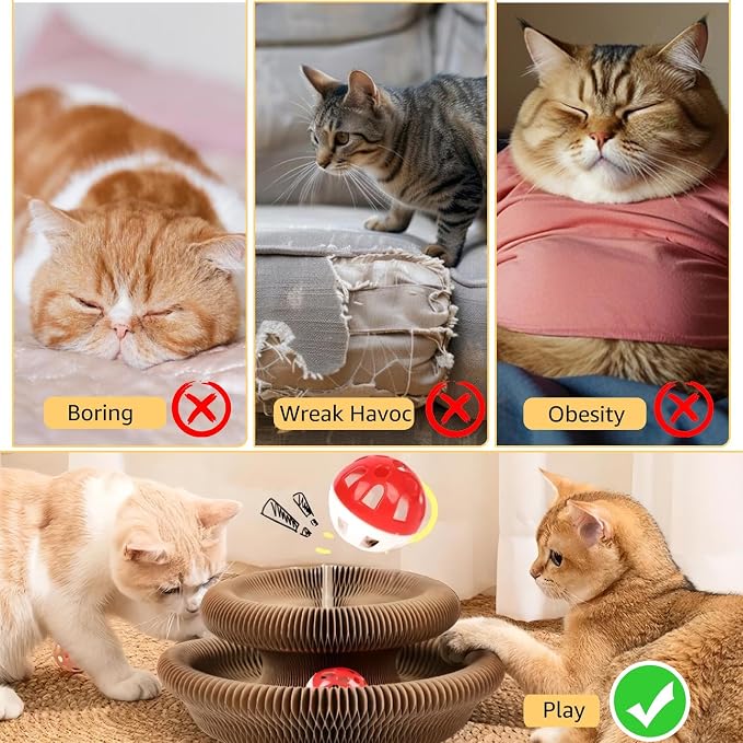 SREBAY Cat Toy Interactive, Accordion Kitty Wheel Exerciser | Magic Organ Scratcher Cardboard, Spiral Cat Tunnel, Ball Track Self Play Entertainment Toy, 1Pack - Image 3