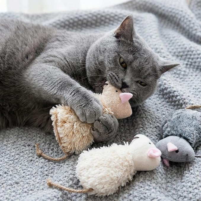 Ciieeo 3pcs Refillable Catnip Cat Toys for Indoor Cats & Kittens Plush Interactive Teething Chew Toy Mouse Shaped Catnip Pillow Assorted Colors - Image 2