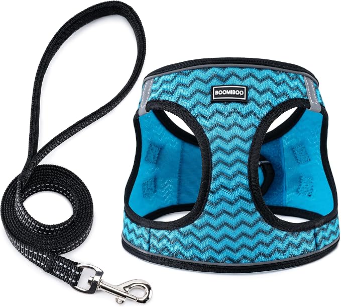 Dog Harness with Leash Set, Step-in Adjustable Puppy Pet Vest,Blue Stripe L | Lightweight Breathable Air Mesh, Night Safety Reflective, No Pull Puppy Vest Harnesses for Small Medium Large Dogs, Cats by BOOMIBOO