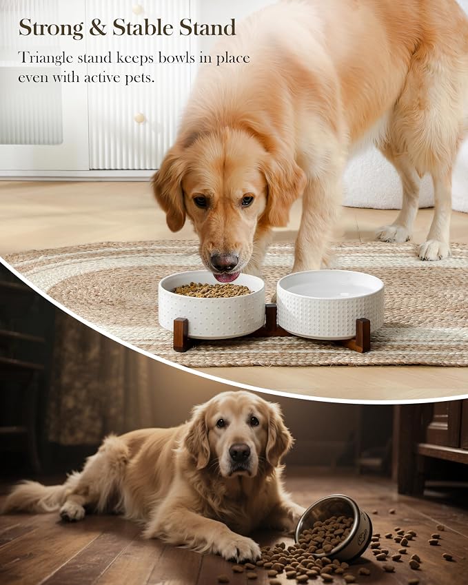 MALACASA Dog Bowl Set, Ceramic Bowls with Walnut Wood Stand, 6 Cups | Rhombic and Polka Dot Design, Non-Slip Base, for Dogs, About 26% Heavier than Similar Ceramic Bowls - Image 6