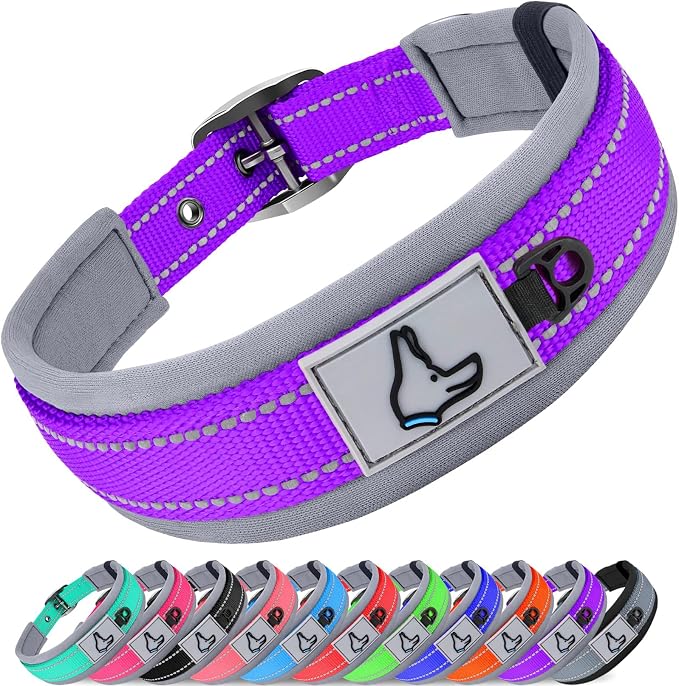 Joytale Reflective Dog Collar for Medium Dogs with Wide Padding, Purple | Soft Cushion Reduce Neck Strain, Night Safety Walking, Metal Buckle and Adjustable Eyelets, Separated Dog ID Tag Ring by Joytale