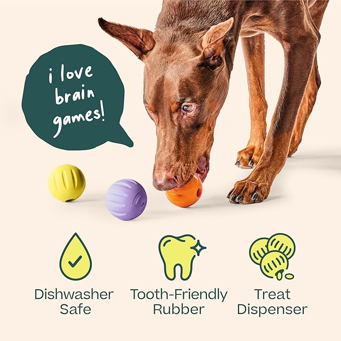 WOOF Flyball Fetch Ball & Dog Treat Dispenser Toy, 3-Pack | 2-in-1 fetch ball, fits standard ball launchers, treat dispenser, durable rubber, dishwasher safe, puzzle enrichment - Image 6