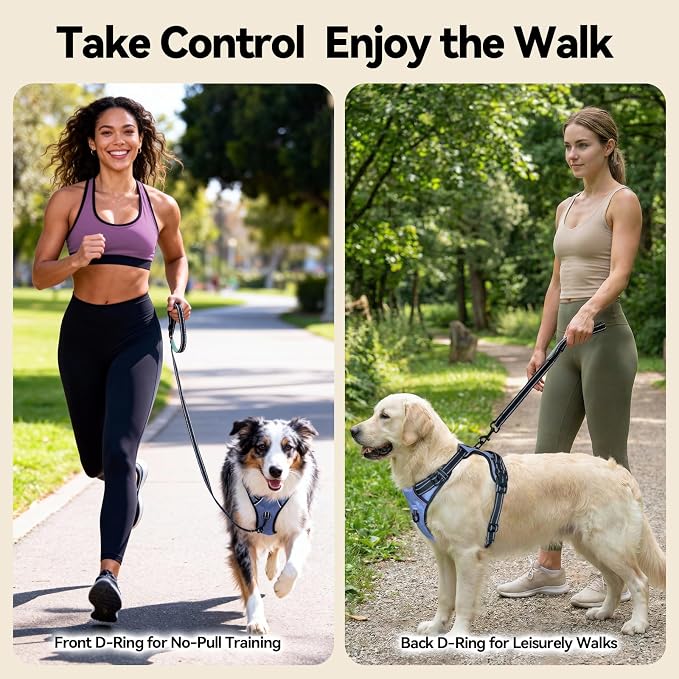 No Pull Dog Harness Reflective Adjustable with 2 Metal Leash Hooks | and Soft Training Handle [Over The Head Design](M, Baby Blue) - Image 3