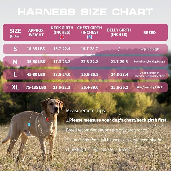 Dog Harness, Tactical No Pull for Small Sized Dog with Handle | Breathable Soft Padded, Adjustable, Reflective, Molle System, Heavy Duty, No Choke for Walking Training, Pink Small - Image 7
