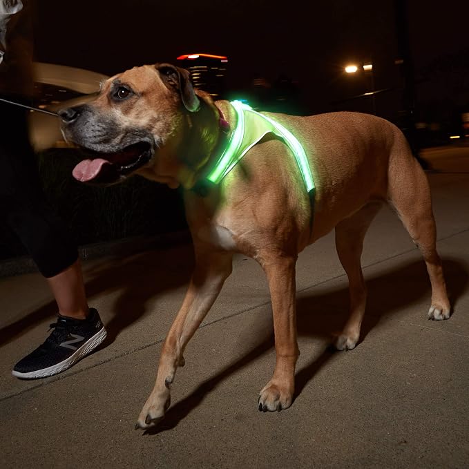 noxgear LightHound Light Up Reflective Dog Harness, X-Large | 360° Light Up Reflective Dog Harness, 8 Colors & 6 Modes, USB Rechargeable, Adjustable, Rainproof, LED Fiber Optic - Image 8