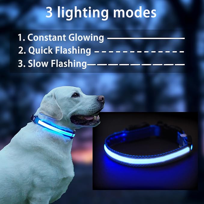 USB Rechargeable LED Dog Collar, Waterproof, Adjustable, Glowing, for Large Dogs, Night Walking, Camping, Jogging, Blue, L (Neck 18-28", Width 1") - Image 2
