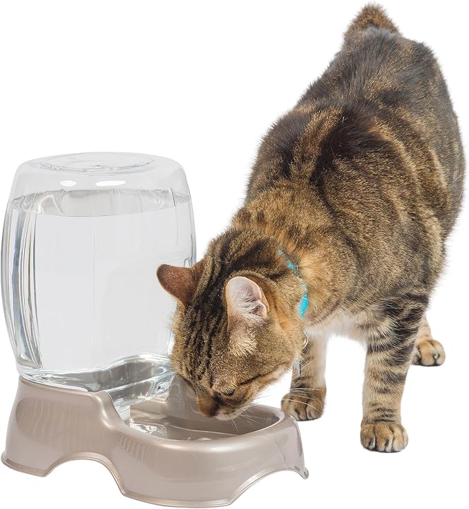 Petmate Pet Cafe Water Dispenser, .75 GAL, Pearl Tan | Bowl for Cats and Dogs, USA Made - Image 9