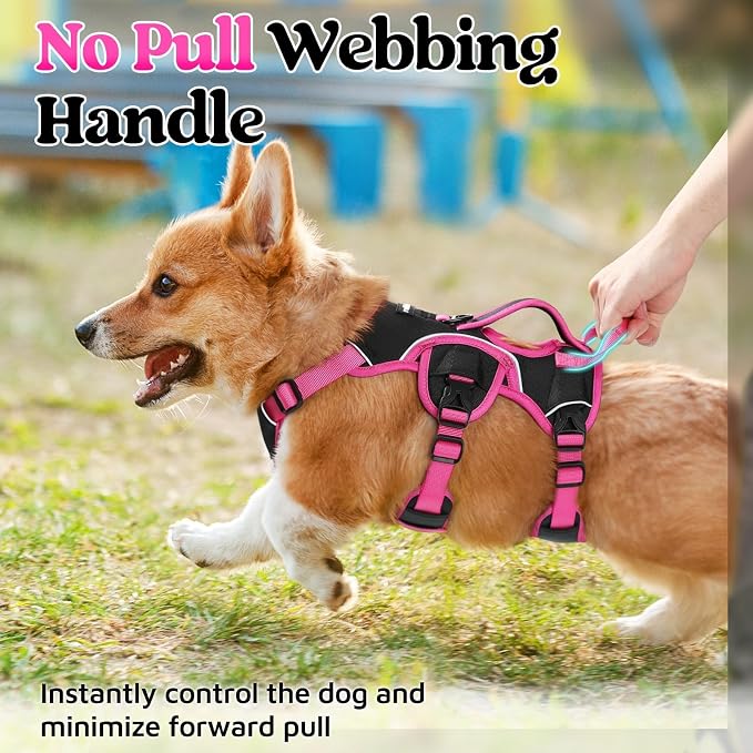 rabbitgoo Escape Proof Dog Harness for Small, No Pull with Lift Handle | No Escape, Full Soft Padded, Reflective Adjustable Vest, Leash Clip for Walking Hiking Training, Rose & Black, Small - Image 4