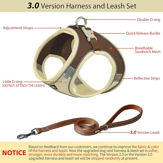 AIITLE Small Dog Harness and Leash Set, Step-in Puppy Pet Vest, Beige XXXS | Light, Soft, Breathable Air Mesh, Escape-Proof, Easy on and Remove with Hook & Loop, Secure Reflective for Walking - Image 3