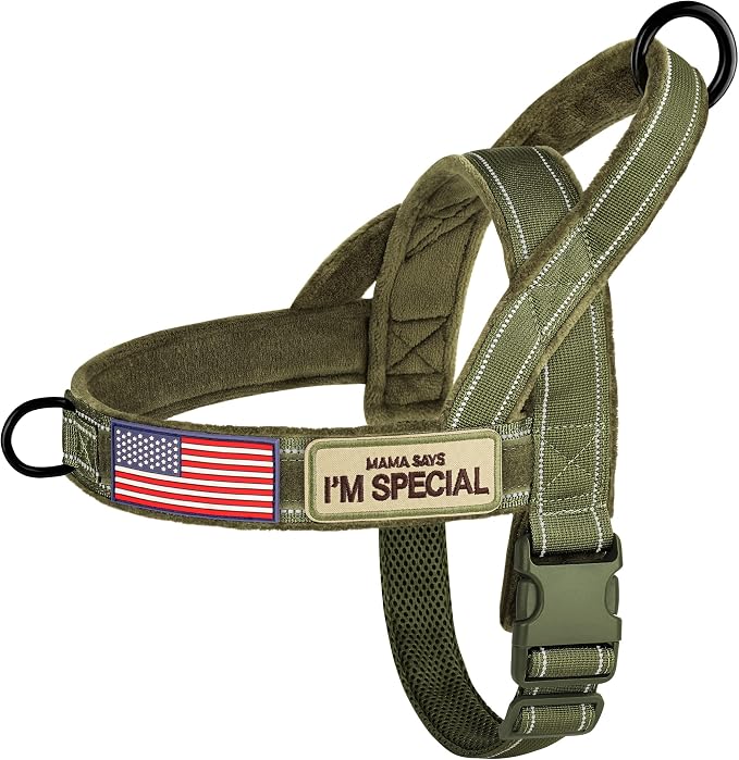 Forestpaw No Pull Dog Harness with Large Handle,Comfortable,XL,Green | Adjustable Fits Chest 32-39",80-110 lbs,Slip On,Quick Release Buckle,Easy Control,Soft Padded,for Large Dogs Walking Training by Forestpaw