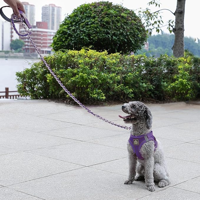 S-ETOVUS-Chain Dog Leash, Bite-Proof Metal Leash, with Padded Handle | Three Sizes 7.25FT/5.2FT/4FT, Woven From Nylon Rope And Chain, Durable And Bite-Resistant, Comfortable With Padded Handles - Image 9
