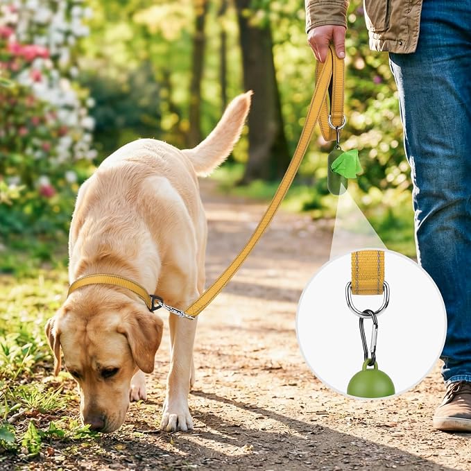 Joytale Reflective Dog Leash for Medium & Large Dogs, 6 FT x 1", Khaki | Heavy Duty Nylon Webbing, Padded Handle for Comfort, Visible at Night, for Walking & Training - Image 2