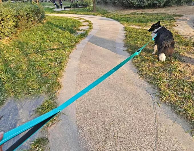 3 Handle Dog Leash 10FT Triple Handle Reflective Large Medium Dog | Multi Handles Heavy Duty Training Lead with Padded Traffic Handles for Control and Safety-Purple - Image 9