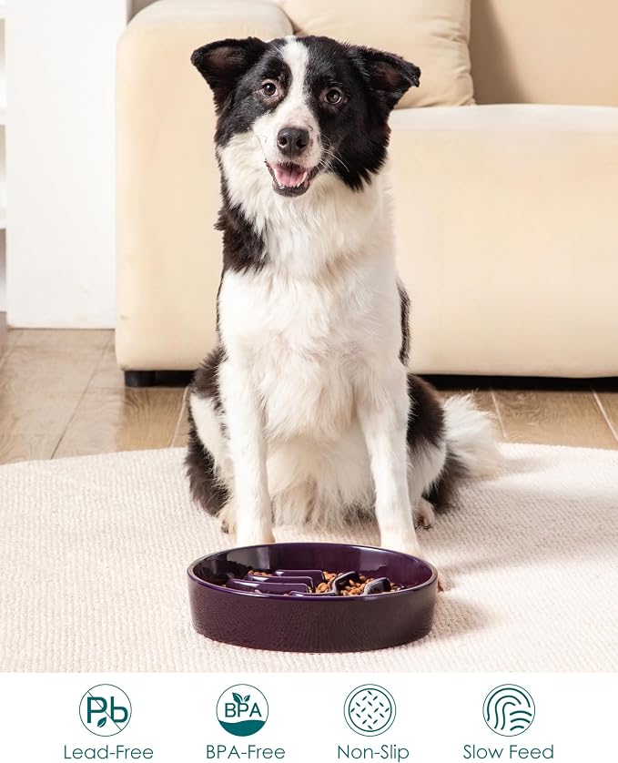 vancasso Slow Feeder Dog Bowl, 3 Cup Ceramic Slow Feeding Food Dish for Large Breed, Puzzle Dog Food Bowl for Fast Eater, Dark Purple - Image 5