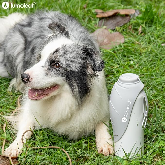 LumoLeaf Insulated Dog Water Bottle 27 oz Stainless Steel - Keep Water Cool or Warm, Portable Pet Water Bowl for Travel, Wide Mouth for Easy Ice Filling & Cleaning (Grey, 27 oz) - Image 5