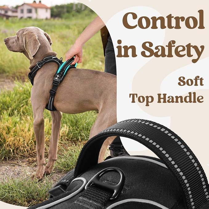 rabbitgoo Dog Harness for Large, Updated Easy On & Off with 3 Buckles | No Pull No Choke, Walking with 2 Clips and Handle, Adjustable Soft Reflective, Black, Large - Image 4