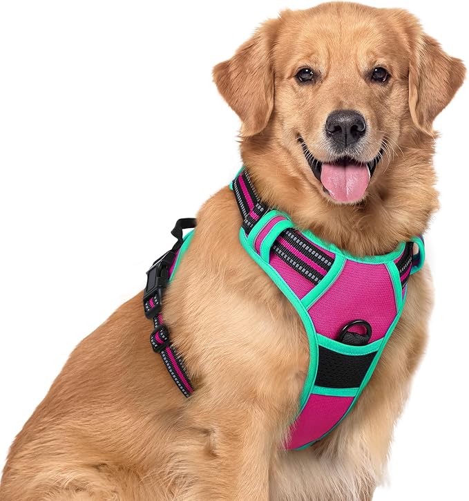 rabbitgoo Dog Harness, No Pull for Large Dogs with 2 Leash Clips, Pet Vest | No Choke with Handle, Adjustable Soft Padded, Reflective, Easy Control for Walking, Hot Pink & Turquoise, X-Large by rabbitgoo