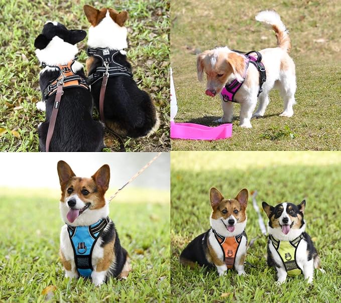 PoyPet No Pull Dog Harness Small with Front Clip & Neck Release Buckle | No Choke, Adjustable Vest, Reflective, Back Clip, Lockable, Soft Padded, Easy Control Handle for Walking Training, S, Orange - Image 9