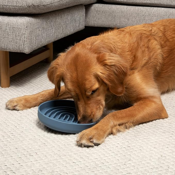 Should We Go? Slow Feeder Dog Bowls - Large Size Silicone Slow Eating Dog Bowl for Puppies & Dogs with Suction Cup -Dishwasher-Safe, Lick Mat Design, Reduces Gulping,for All Breeds,9.5”x1.5”- Ocean - Image 3
