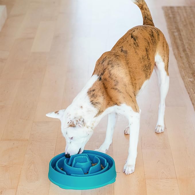 Outward Hound Fun Feeder Slo Bowl – Large 4‑Cup Capacity, Slow Feeding, Medium to Large Dogs, Non‑Slip, Turquoise, Drop Pattern | Slows Fast Eaters, Can Aid Digestion, Holds 4 Cups Dry or Wet Food, Non-Slip Base, Easy Clean, No BPA, Medium to Large Dogs - Image 6
