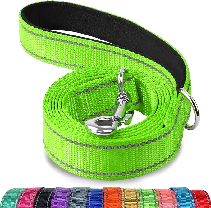 Joytale Reflective Dog Leash for Small Dogs, 5 FT x 3/4", Green | Heavy Duty Nylon Webbing, Padded Handle for Comfort, Visible at Night, for Walking & Training by Joytale
