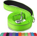 Joytale Reflective Dog Leash for Small Dogs, 5 FT x 3/4", Green | Heavy Duty Nylon Webbing, Padded Handle for Comfort, Visible at Night, for Walking & Training by Joytale
