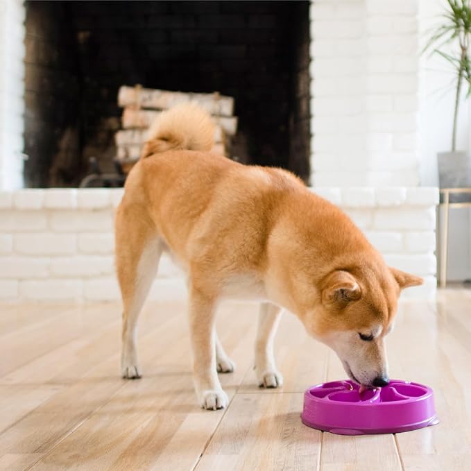 Outward Hound Fun Feeder Slo Bowl – Medium 2‑Cup Capacity, Slow Feeding, Small to Medium Dogs & Cats, Non-Slip, Purple, Flower Pattern | Slows Fast Eaters, Can Aid Digestion, Holds 2 Cups Dry or Wet Food, Non-Slip, Easy Clean, No BPA, Small to Medium D... - Image 6