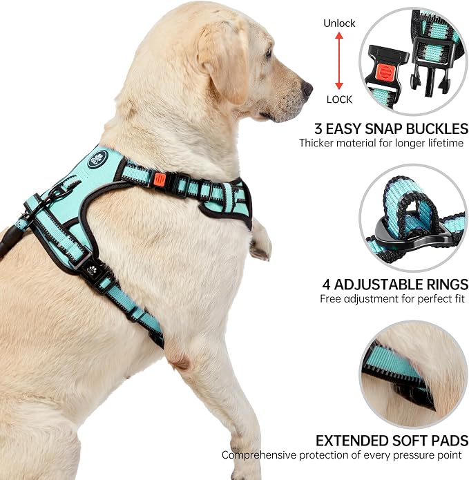 NESTROAD No Pull Dog Harness,Adjustable Oxford Dog Vest Harness with Leash,Reflective No-Choke Pet Harness with Easy Control Soft Handle for Small Dogs(Small,Turquoise) - Image 4