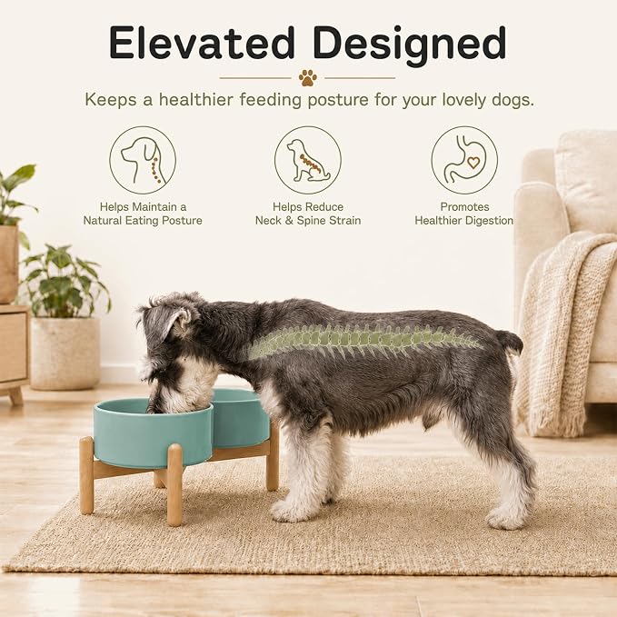 Havniva Ceramic Dog Bowls Elevated, Raised Dog Food Bowl for Small Dogs | 6.1” Elevated Dog Bowls, Non-Slip Wood Stand, Dog Food and Water Bowl Set, Dog Feeding Dish, Large Capacity Pet Water Bowl - Image 4
