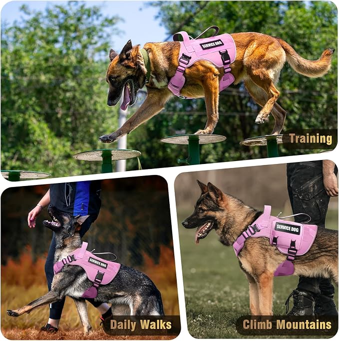 2X Metal Buckle Service Working MOLLE Dog Vest with 10 Pet Patches | Tactical Dog Harness for Large Dog, No-pull Military Working Vest for Training Hunting Walking，2x D Rings for Leash Clip - Image 8