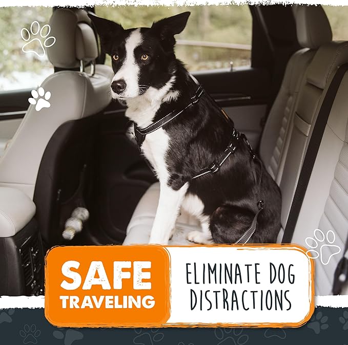 Mighty Paw Dog Seat Belt for Car, Heavy-Duty Aviation Aluminum Carabiner | 850 Lbs Force Rated, Nylon Webbing, Swivel Clip, 16-26 In Adjustable - Image 3