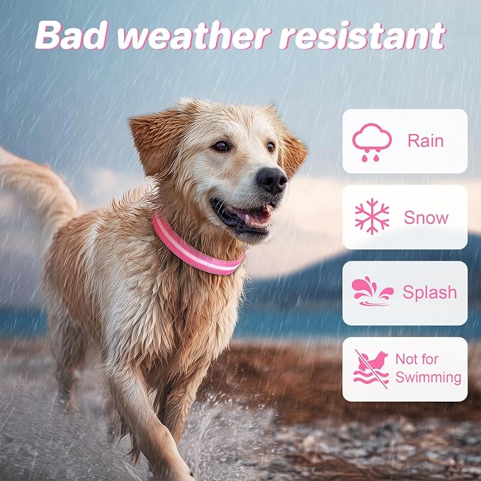 PcEoTllar Light Up Dog Collar, Glow in The Dark for Night Walking, Pink, L | Led Dog Collar for Night Walking, 3 Flashing Mode, USB Charge, For Small Medium Large Dogs, Waterproof, Durable Material - Image 5