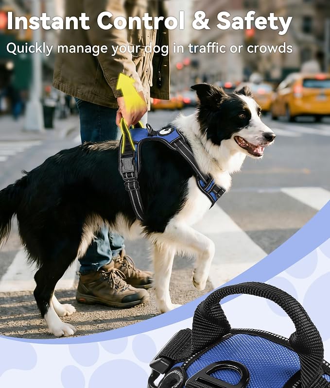 Joytale No Pull Dog Harness for Small Dogs, Front Clip, Navy Blue | Grab Handle for Instant Control, Padded & Adjustable Vest, Sturdy Metal D-Rings, for Safe Training & Daily Walking - Image 3