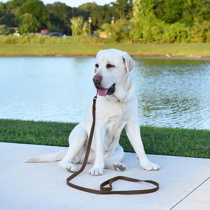 Dogline Biothane Waterproof Dog Leash Strong Coated Nylon Webbing with Black Hardware Odor-Proof Easy to Clean High Performance for Small or Large Dogs Made in USA 4 or 6 ft Lead, Dark Chocolate Brown - Image 5