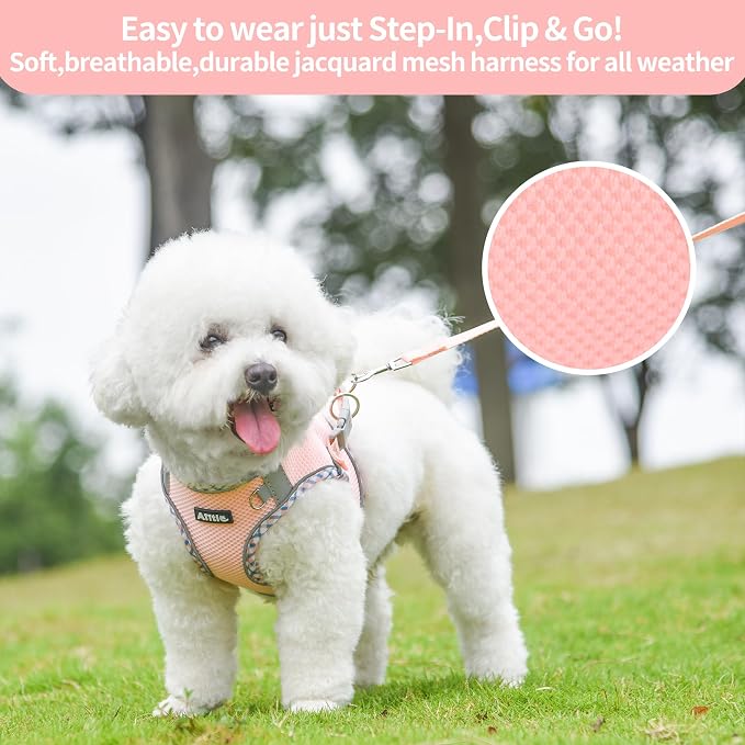 Teacup Puppy Harness with Leash, Escape-Proof Design, Pink S | No Pull Step-in Dog Vest Harness, Breathable Mesh, Reflective Design with Magic Tape, Outdoor Use for Poodles, Pomeranians - Image 5