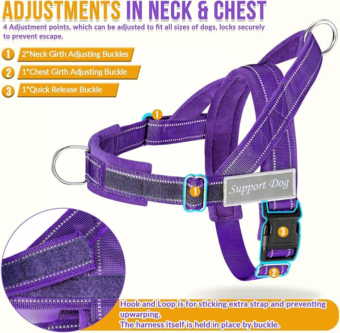 Lukovee No Pull Dog Harness and Leash Set, Soft Padded Vest with Front Clip | Adjustable, No Choke, Reflective,Durable Easy Control Pet Vest Harness for Safe Walking for Medium Large Dogs (Purple, XL) - Image 3