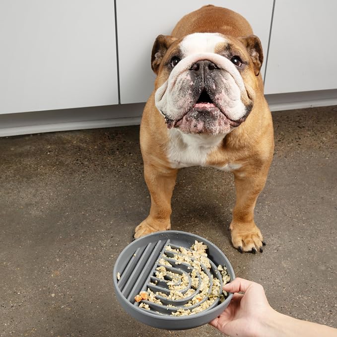Should We Go? Slow Feeder Dog Bowls - Medium Size Silicone Slow Eating Dog Bowl for Puppies & Dogs with Suction Cup -Dishwasher-Safe,Lick Mat Design,Reduces Gulping,for All Breeds,7.5”x1.5”- Charcoal - Image 4