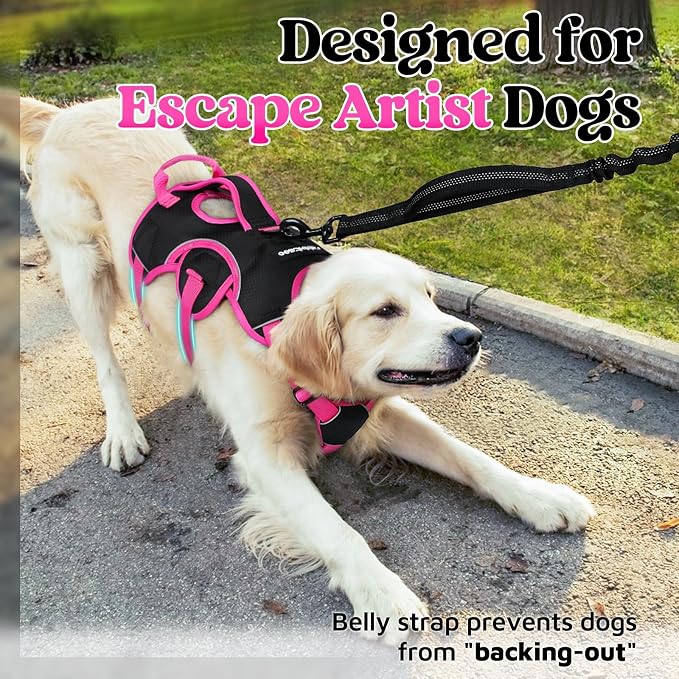 rabbitgoo Escape Proof Dog Harness for Large, No Pull with Lift Handle | No Escape, Full Soft Padded, Reflective Adjustable Vest, Leash Clip for Walking Hiking Training, Rose & Black, Large - Image 3
