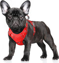 BARKBAY No Pull Dog Harness Large Reflective Dog Harness with Front Clip and Easy Control Handle for Walking Training Running with ID tag Pocket(Red,S) by BARKBAY