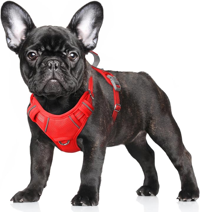 BARKBAY No Pull Dog Harness Large Reflective Dog Harness with Front Clip and Easy Control Handle for Walking Training Running with ID tag Pocket(Red,S) by BARKBAY