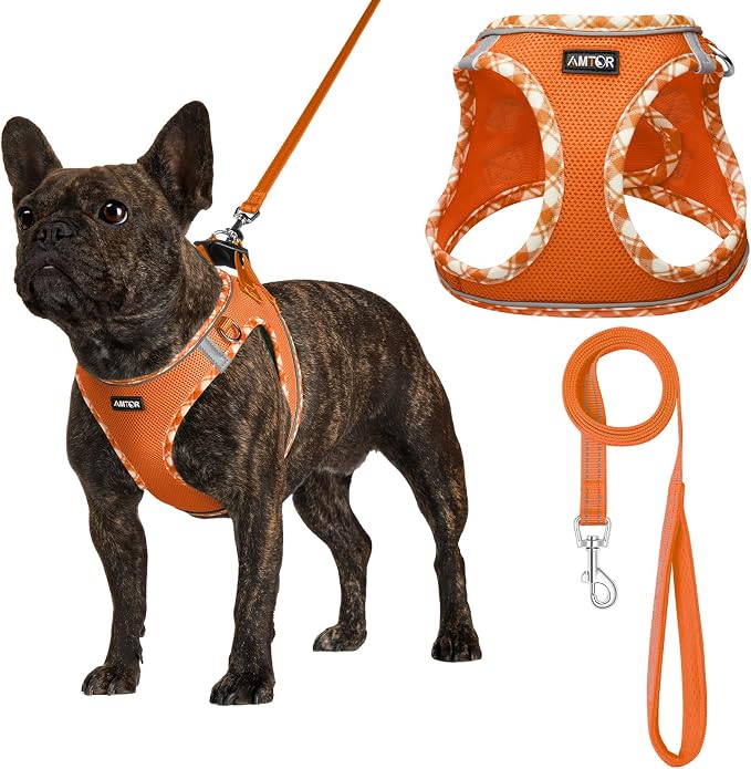 AMTOR Small Dog Harness with Leash Set, No Escape Easy Walk Puppy Harnesses for Training Walking, Step-in Reflective Soft Dogs Vest for XS S Medium Extra-Small Large Sized Dog(Orange/White,L) by AMTOR