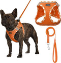 AMTOR Small Dog Harness with Leash Set, No Escape Easy Walk Puppy Harnesses for Training Walking, Step-in Reflective Soft Dogs Vest for XS S Medium Extra-Small Large Sized Dog(Orange/White,L) by AMTOR
